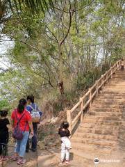 竹坑－南寮登山步道