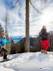 Sommerrodelbahn "Keltenblitz"