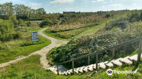 Milton Creek Country Park