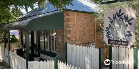 Walk With History In Auburn