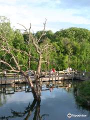 Chester Woods Park