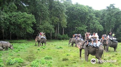 Chitwan Jungle Safari