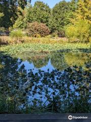 Glencairn Garden