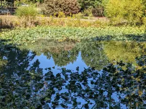 Glencairn Garden