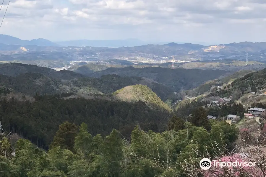 Hirohashi Plum Valley