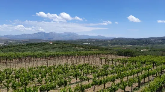 WINERY STILIANOU