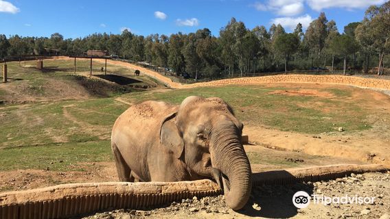 La Reserva del Castillo de las Guardas