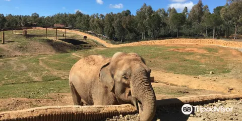 La Reserva del Castillo de las Guardas
