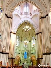 Basílica Nossa Senhora de Lourdes