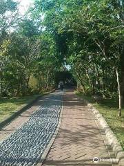 Chapel on the Hill, Don Bosco Batulao