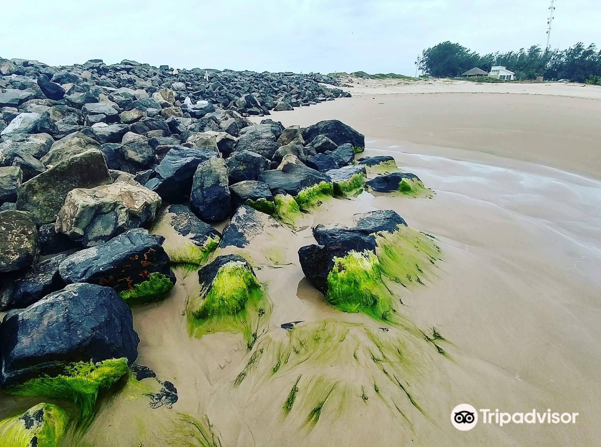 La Morsa Marisquería - Picture of La Morsa Marisquería, Tuxpan - Tripadvisor