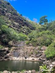 Waimea Waterfall