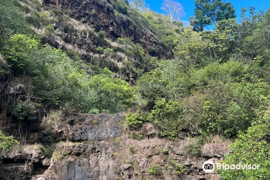 Waimea Waterfall