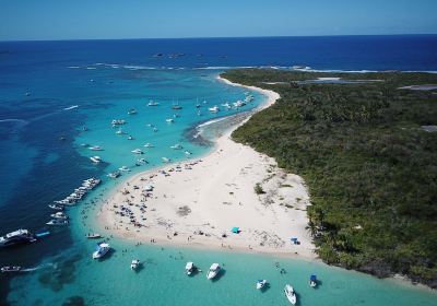 Icacos Island