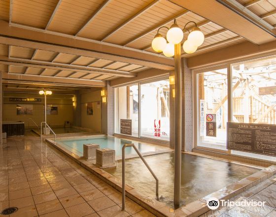 會津若鬆市 自由行套票