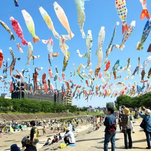 こどもの日2026】鯉のぼりと伝統で祝う、子どもの健やかな成長を願う