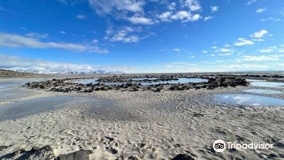 Spiral Jetty