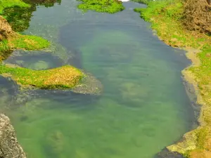 Pantai Kedung Tumpang