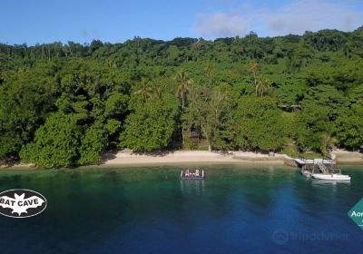 Freshwater Plantation - Aore Island