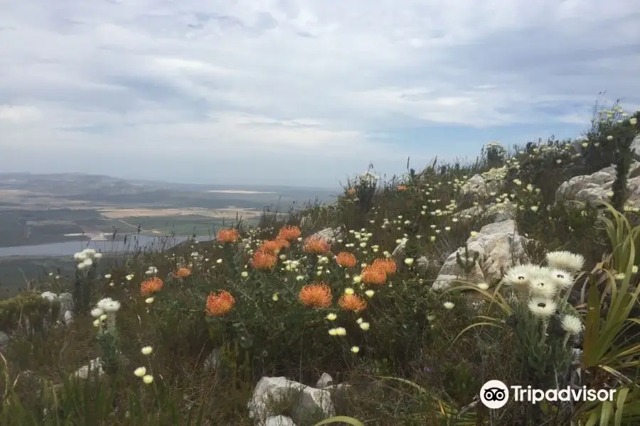 The Fynbos Trail