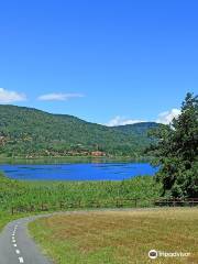 pista ciclabile lago di Comabbio