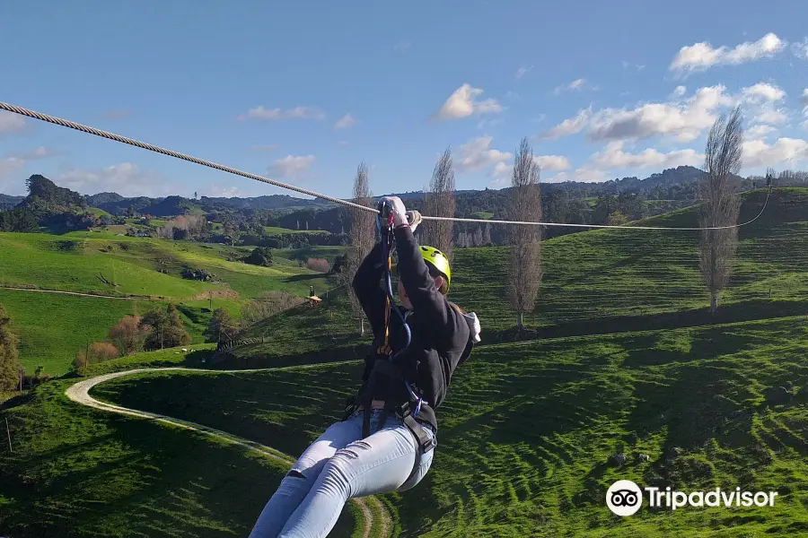 Waitomo Caves Zipline Park