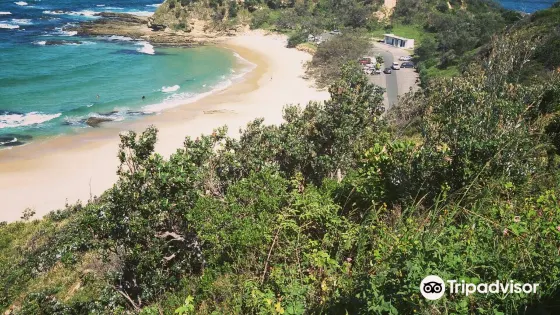 Shelly Beach
