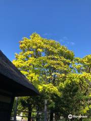 岩手県立博物館