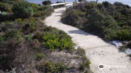 Sharp Point Lookout