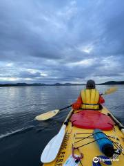 Phil's Sea Kayak Stewart Island