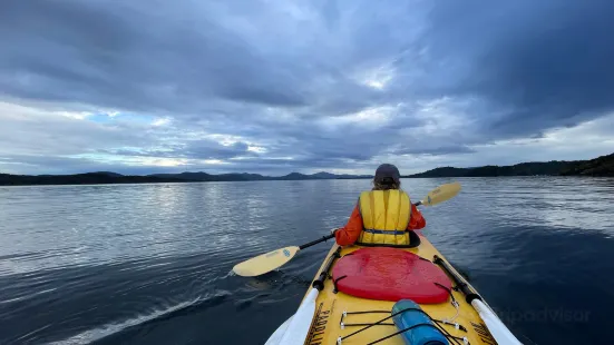 Phil's Sea Kayak