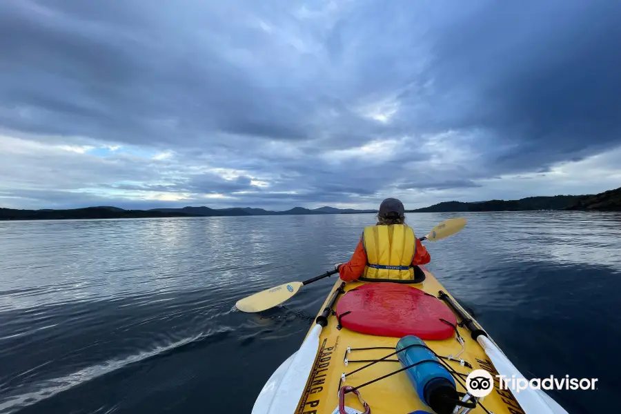 Phil's Sea Kayak Stewart Island