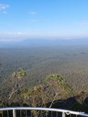 Reed Lookout