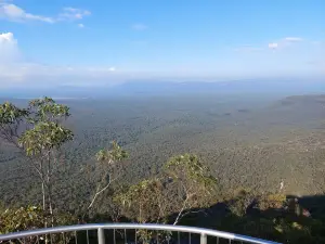 Reed Lookout