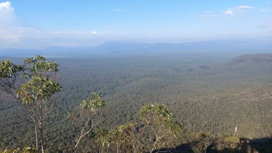 Reed Lookout