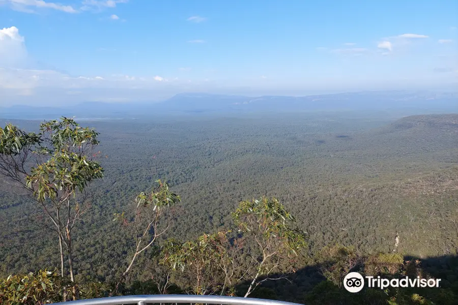 Reed Lookout