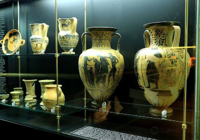 Museo Civico Archeologico delle Acque