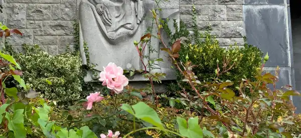 호튼