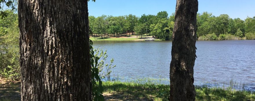 Fort Boggy State Park