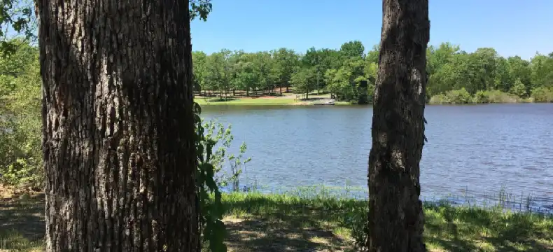 Hotels in Leon County