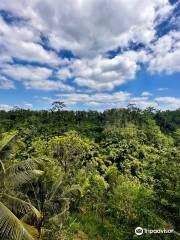 Segara Windhu Coffee Plantations