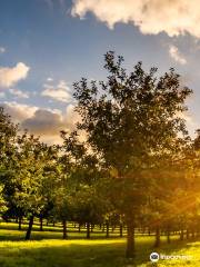 Rocquette Cider Farm