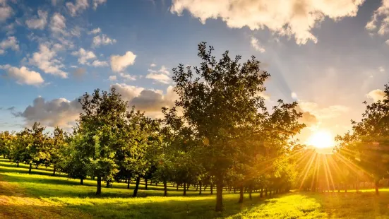 Rocquette Cider Farm