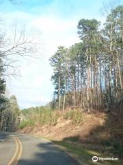 Ouachita National Forest