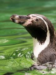 ラ・アウロラ動物園