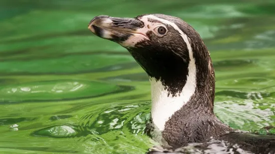 ラ・アウロラ動物園