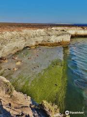 Loberia de Punta Loma