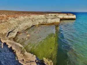 Loberia de Punta Loma