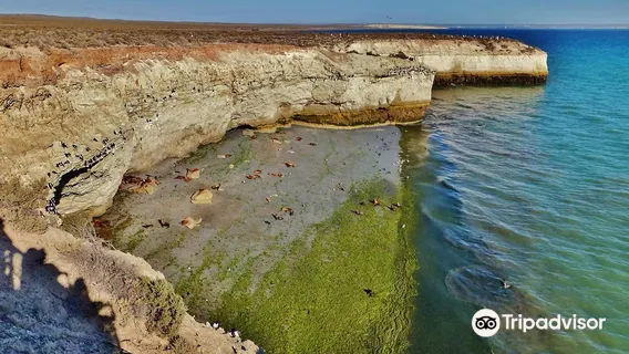 Loberia de Punta Loma