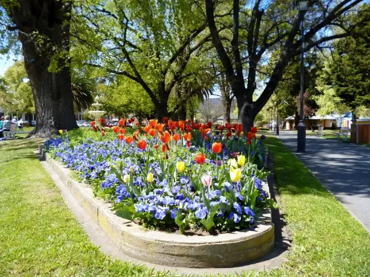 Hotels near Belmore Park